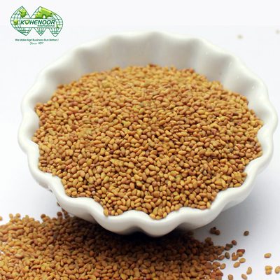 Sesbania cannabina Dhaincha seeds