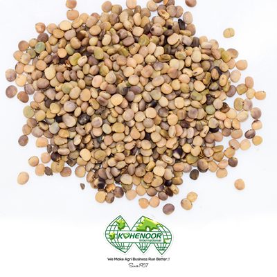 Sesbania bispinosa seeds