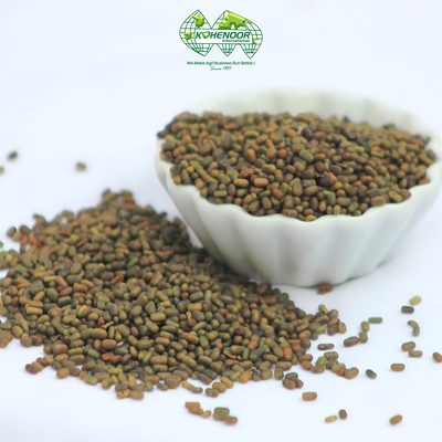 Sesbania grandiflora seeds